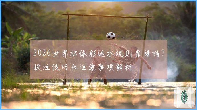2026世界杯体彩返水规则靠谱吗？投注技巧和注意事项解析