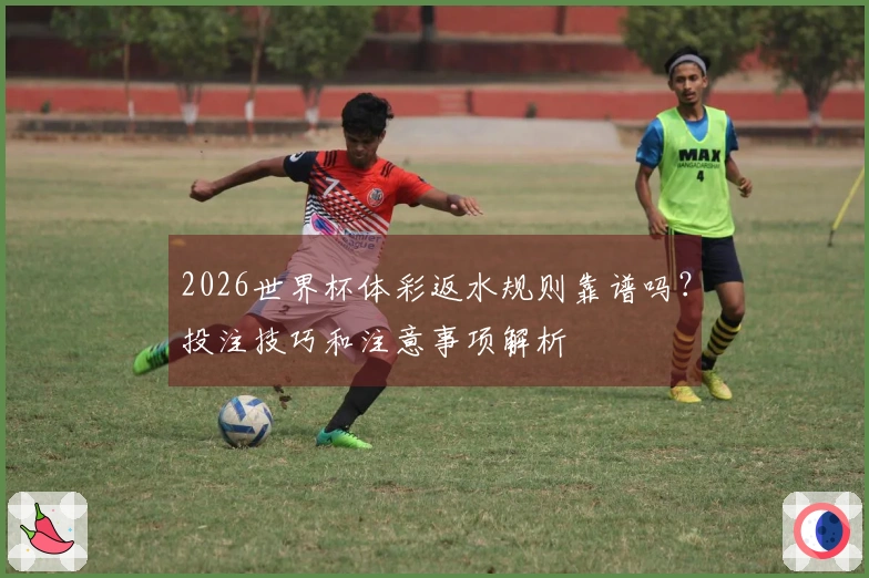 2026世界杯体彩返水规则靠谱吗？投注技巧和注意事项解析
