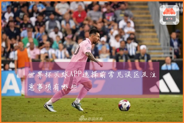 世界杯买球APP选择前常见误区及注意事项有哪些